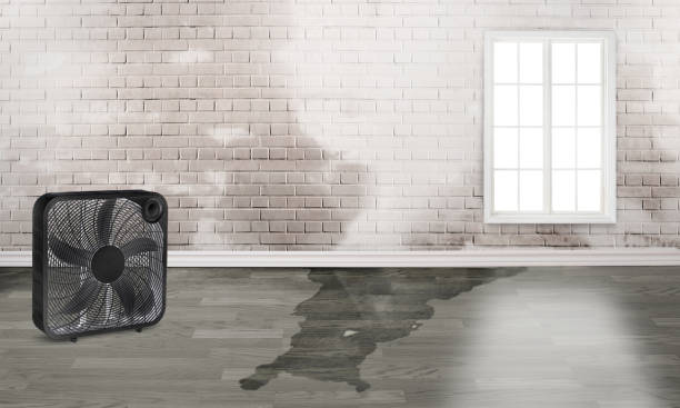 Local water damage restoration in Westmoreland, TN