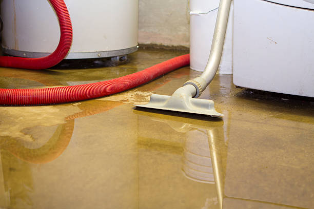 Reliable Westmoreland, TN Water damage restoration Solutions