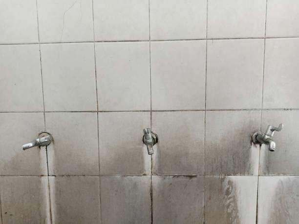 Best Flood damage cleanup  in Westmoreland, TN