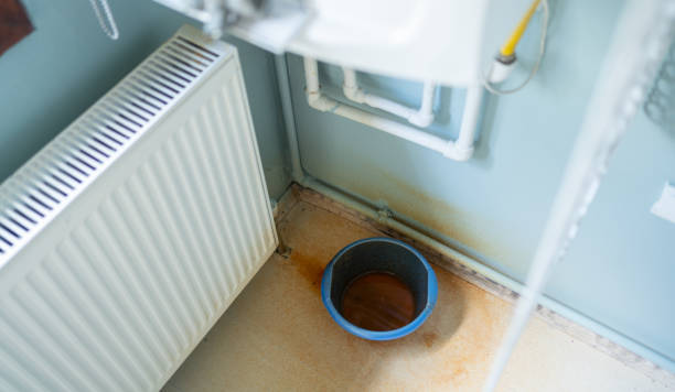 Best Professional water damage repair  in Westmoreland, TN