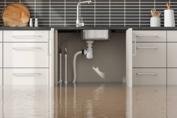 Best Sewage cleanup and water damage restoration  in Westmoreland, TN